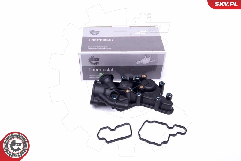 Thermostat, coolant